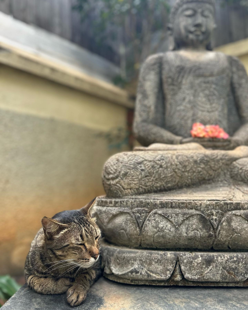 337259628_215294084415287_1252102436253798649_n