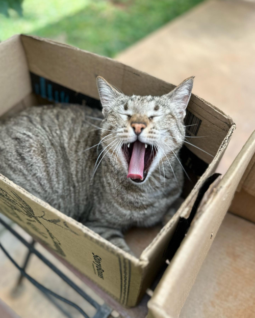 337259628_215294084415287_1252102436253798649_n