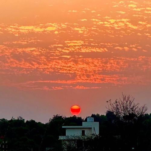 335053123_763437402049852_2162246919039012748_n