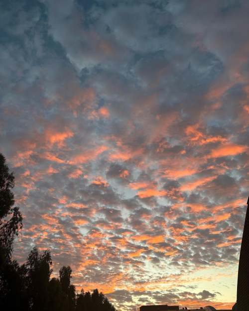 334669761_172135122265373_3706830886002826022_n