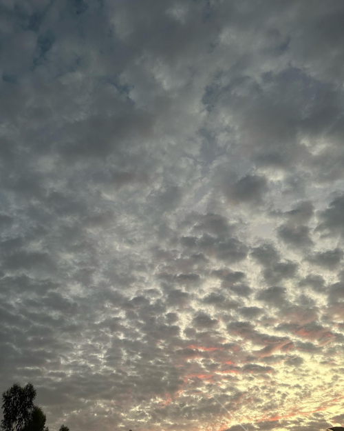 334669761_172135122265373_3706830886002826022_n