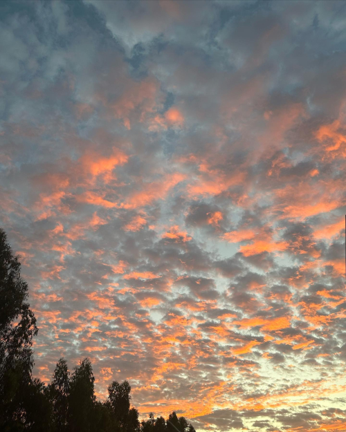 334955001_178214108302228_6573942046362486190_n