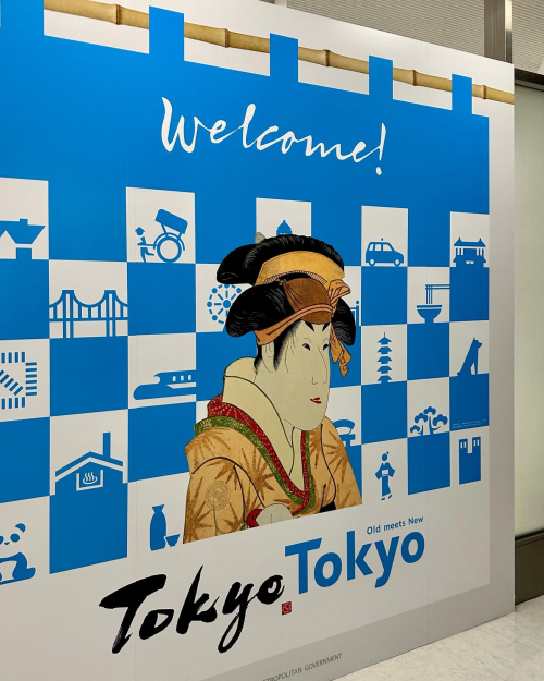 6a01287573b46a970c02b751800bf4200b-500wi