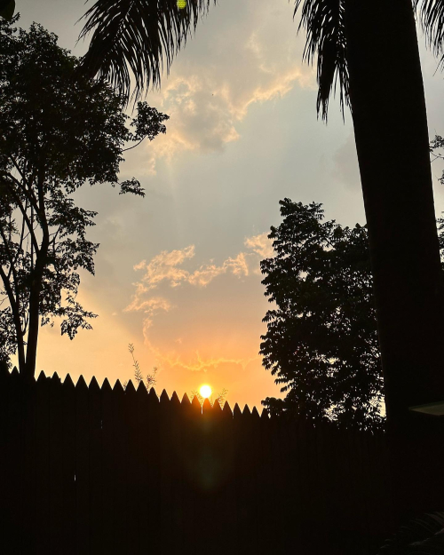 339662591_1432862117513162_981858460283214835_n