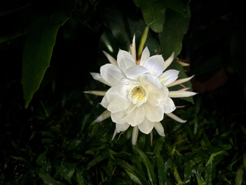 354452533_10227593592842555_5136373282996863325_n