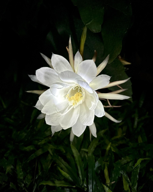 354582596_10227593857969183_3079856376343704840_n