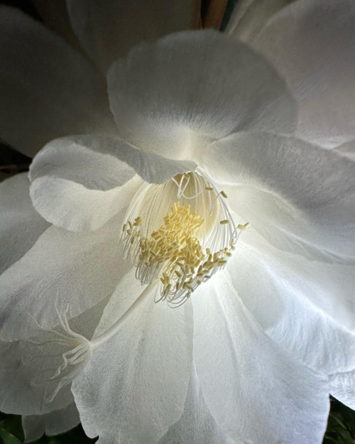 354582596_10227593857969183_3079856376343704840_n