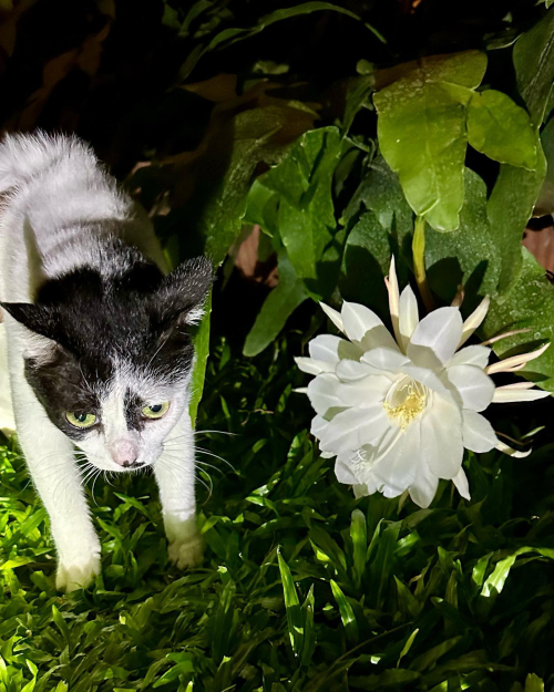 354582596_10227593857969183_3079856376343704840_n