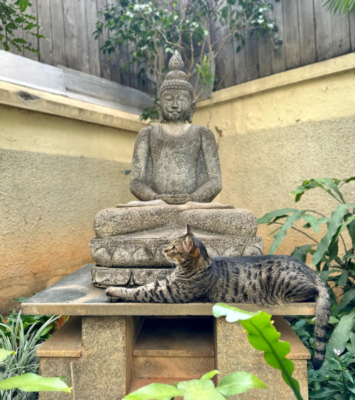 352377347_512007264374559_2933023765691072793_n