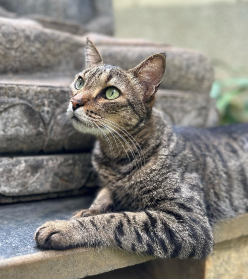 352377347_512007264374559_2933023765691072793_n