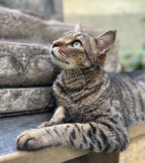 352377347_512007264374559_2933023765691072793_n