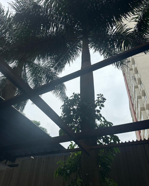 359456658_10227761534640995_6687253446740982233_n