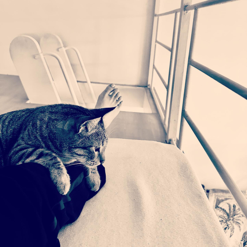 370387763_18353684371074607_6803322552690122128_n