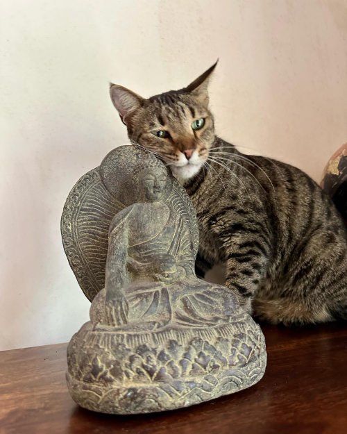 368249878_10228016016722888_4341938159743545930_n