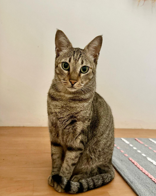 362940814_10227927942961099_8574731616813391443_n