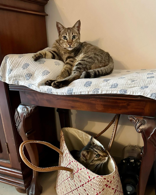 375201693_18355158229074607_3371554583260976572_n