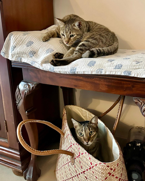 374462390_18355158238074607_2912339887676162400_n