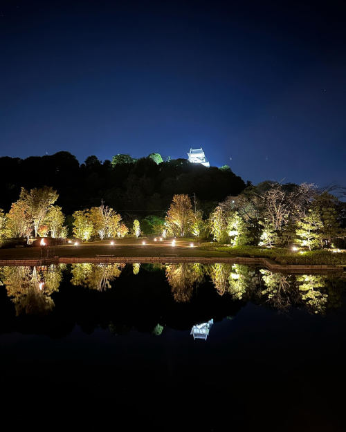 6a01287573b46a970c02c8d39ed4d1200c-500wi