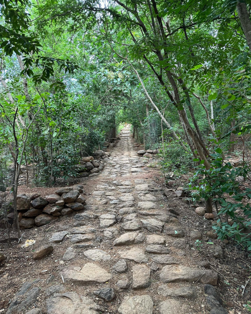 404811146_18369333706074607_3736357546855073764_n