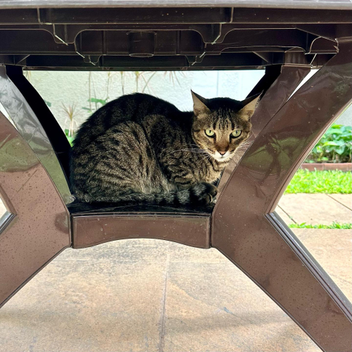 449509880_18409066783074607_354566255892541852_n 449509880_18409066783074607_354566255892541852_n