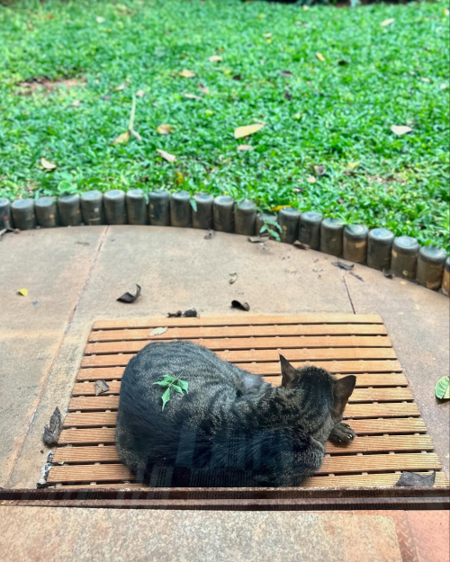 491504784_18459814363074607_2914911017518507608_n