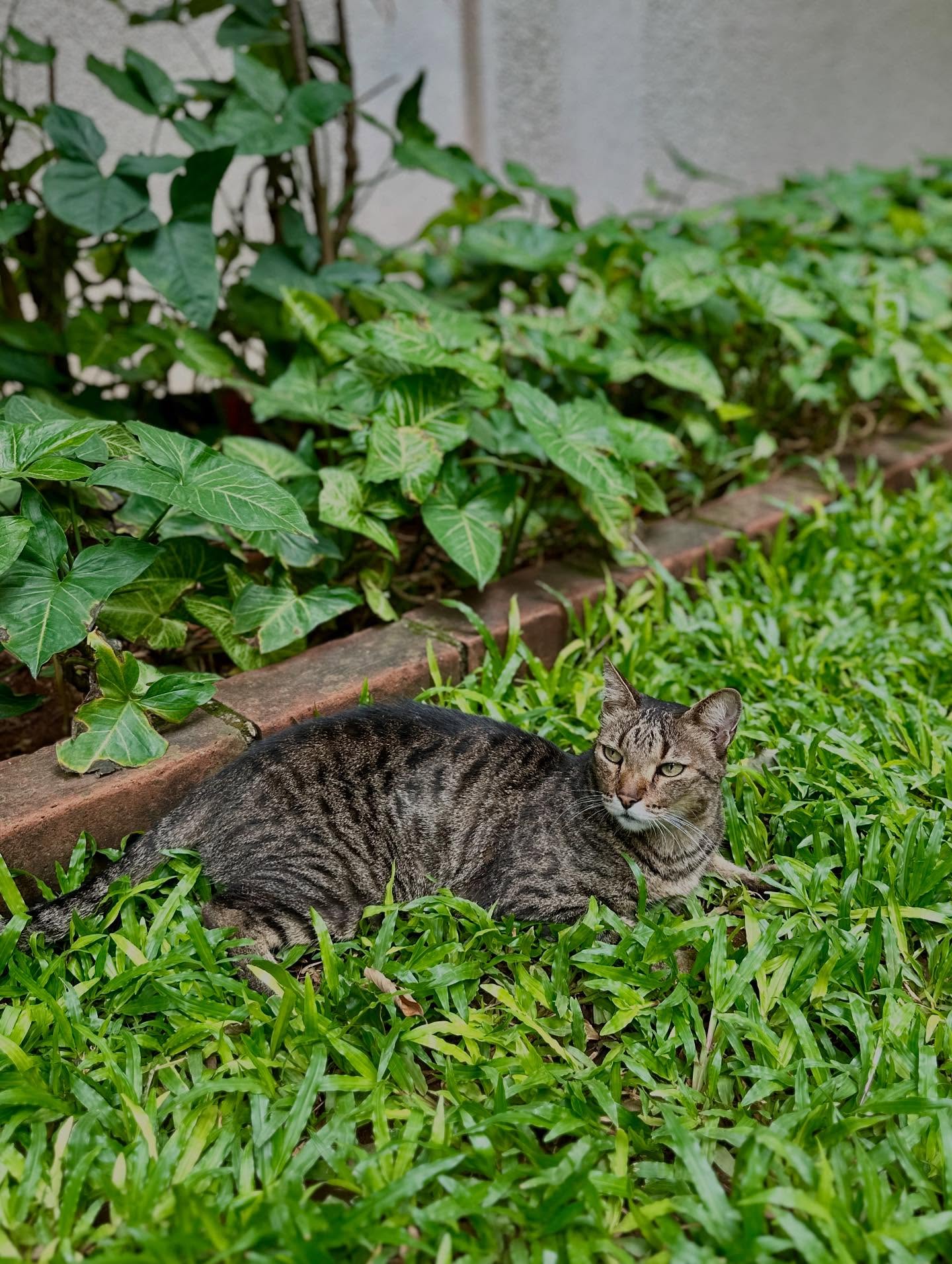 写真の説明はありません。