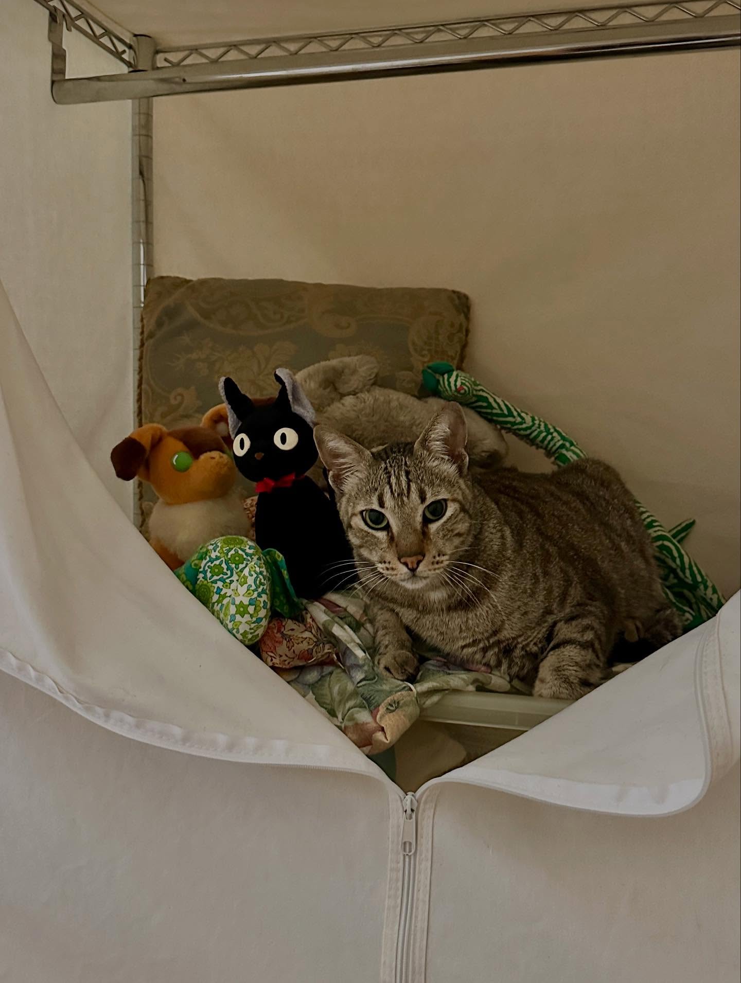 写真の説明はありません。