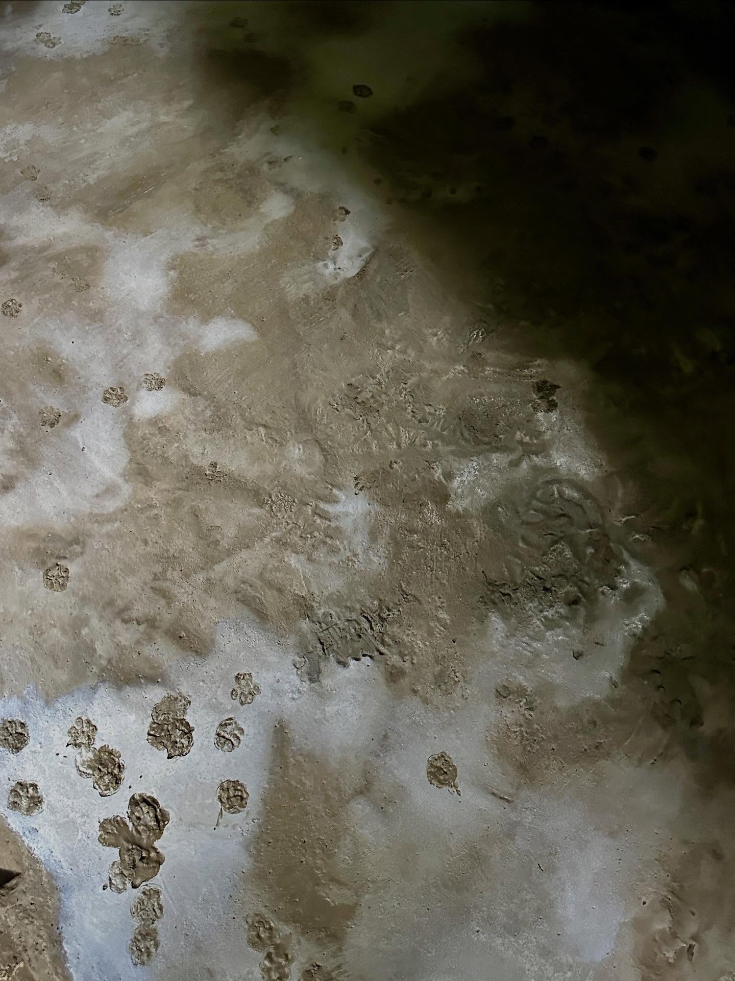 写真の説明はありません。