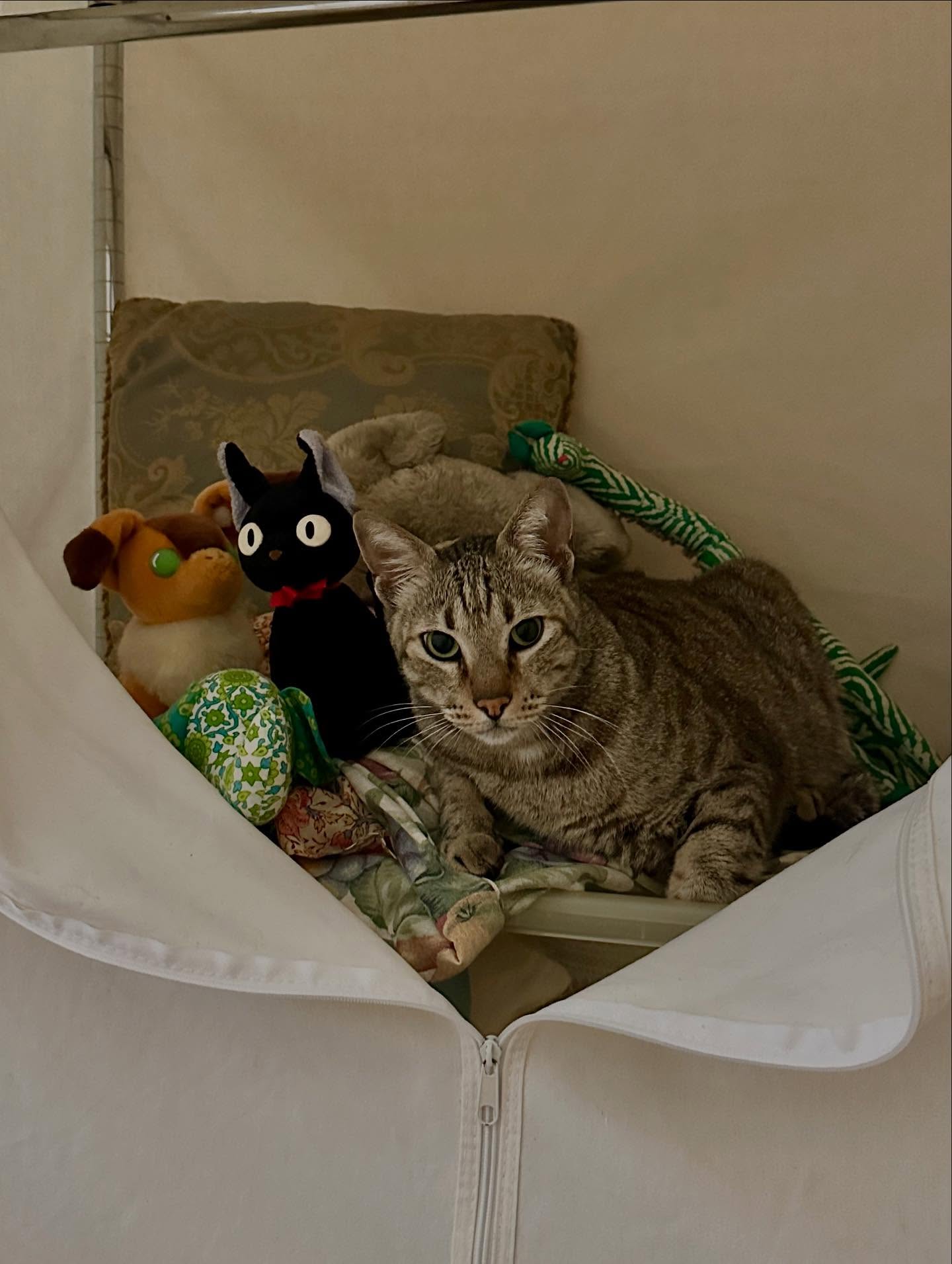 写真の説明はありません。