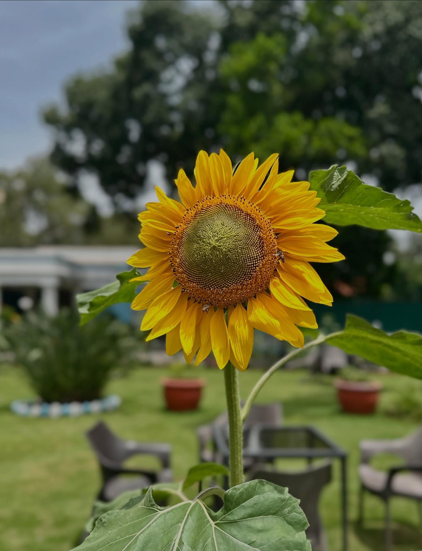 写真の説明はありません。