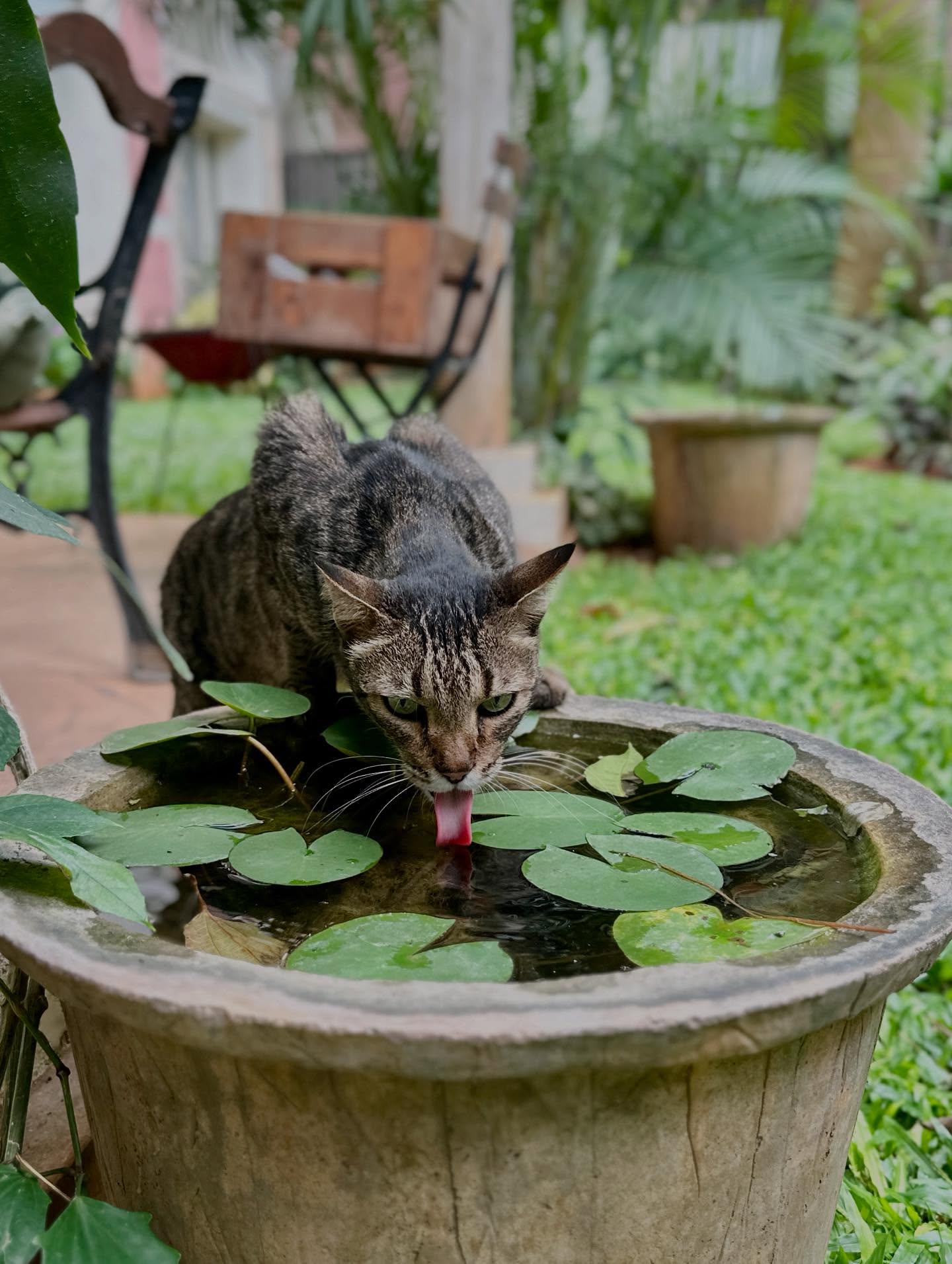 写真の説明はありません。