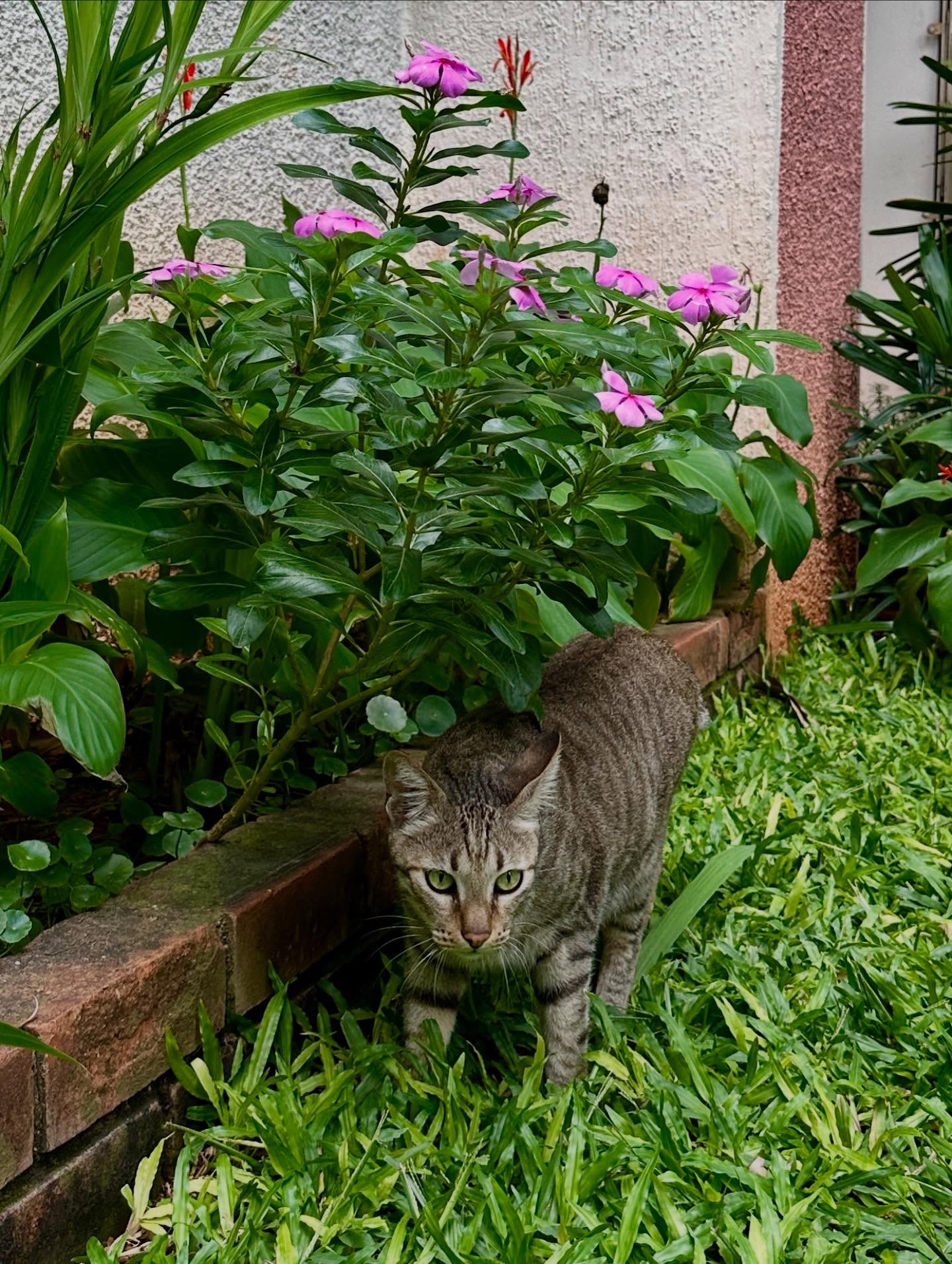 写真の説明はありません。