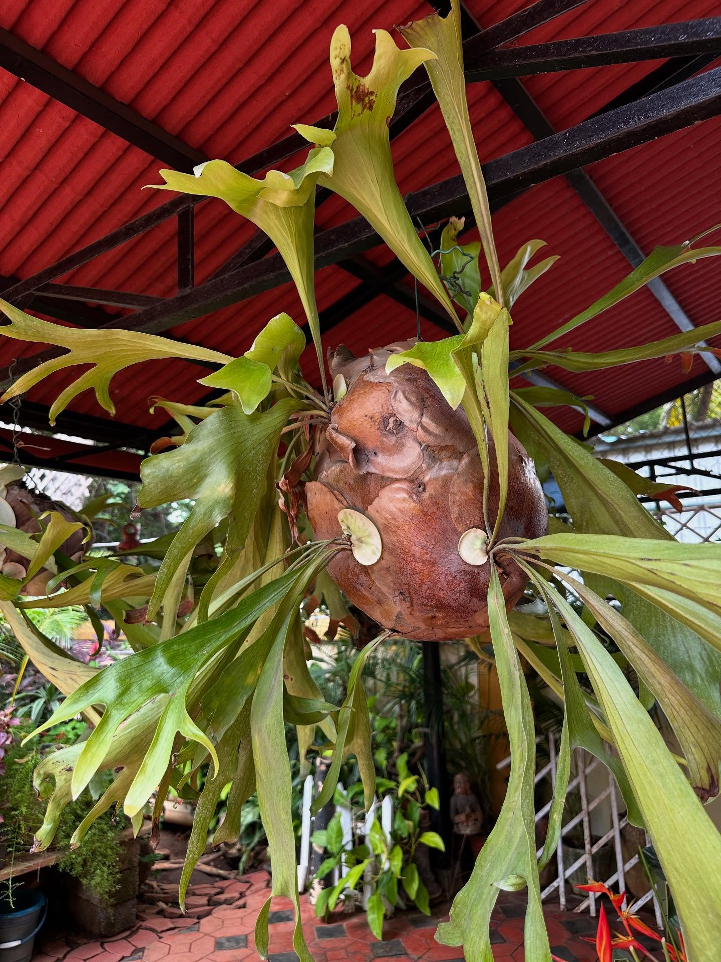 写真の説明はありません。