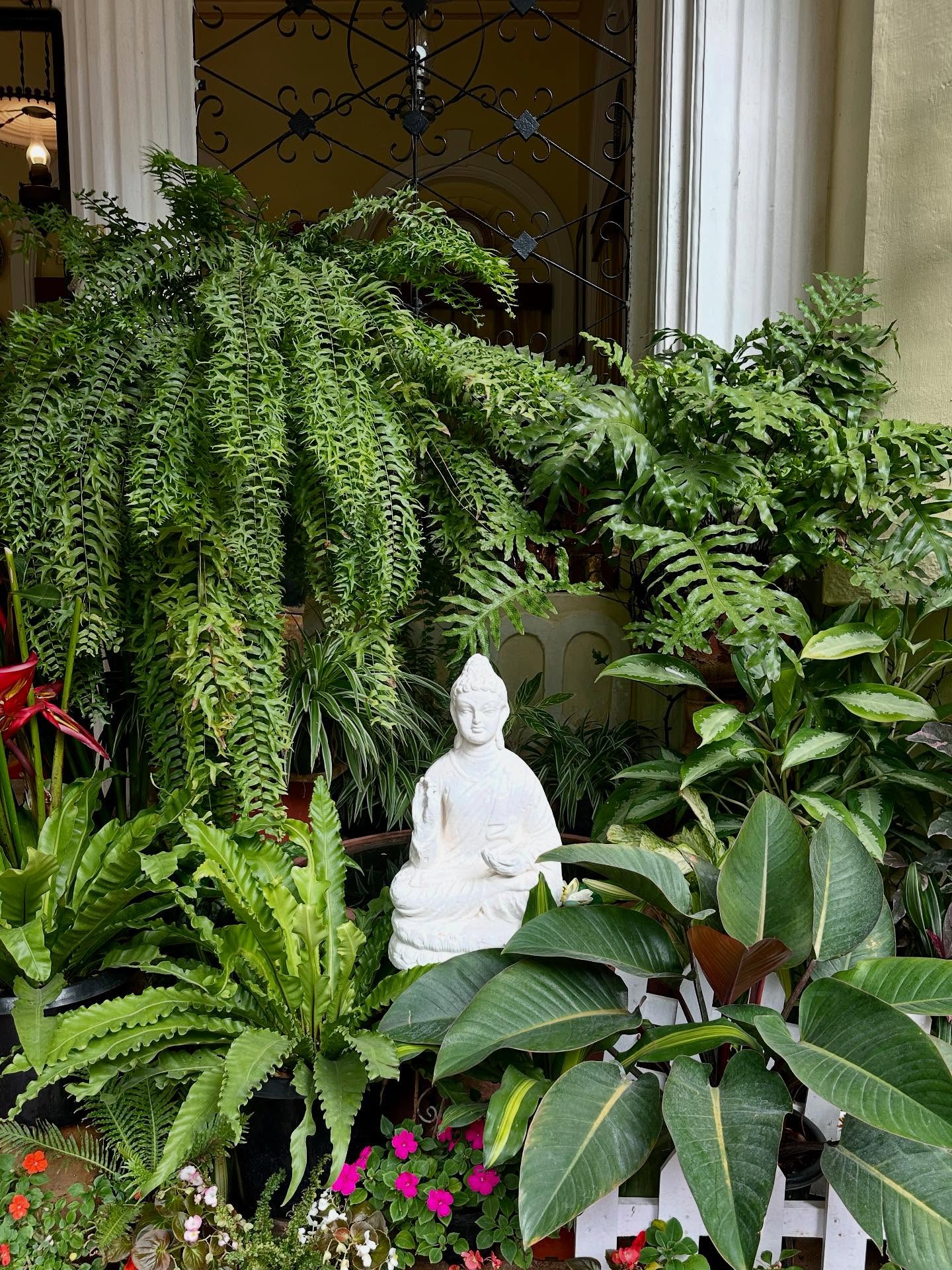 写真の説明はありません。