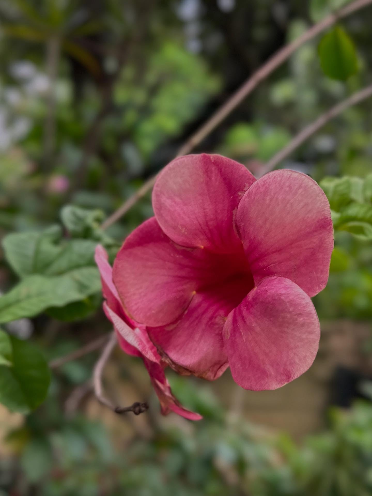 写真の説明はありません。