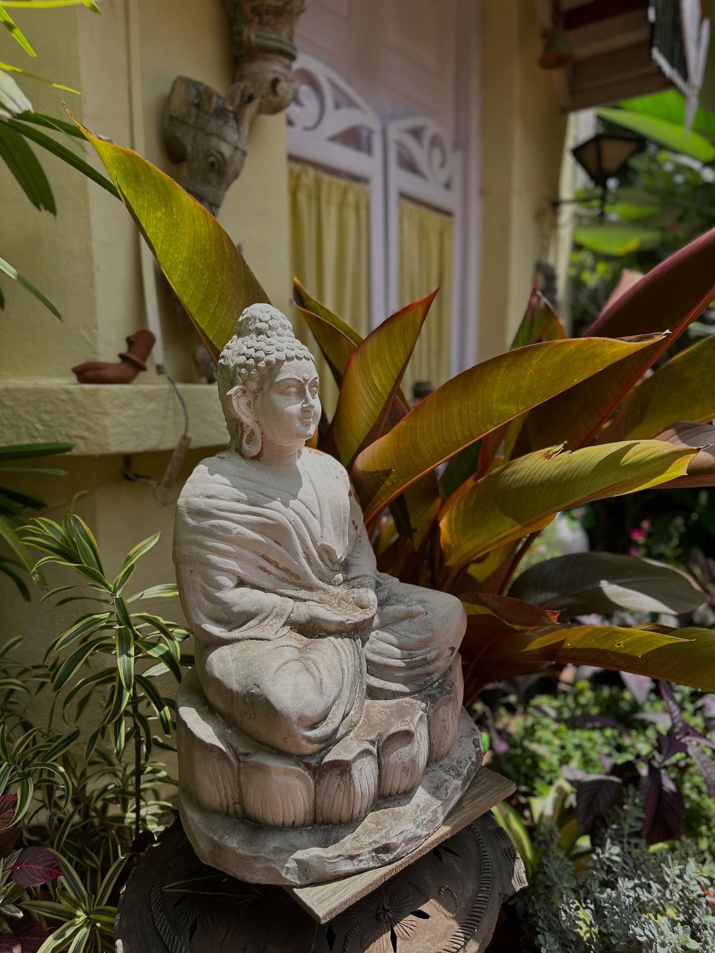 写真の説明はありません。