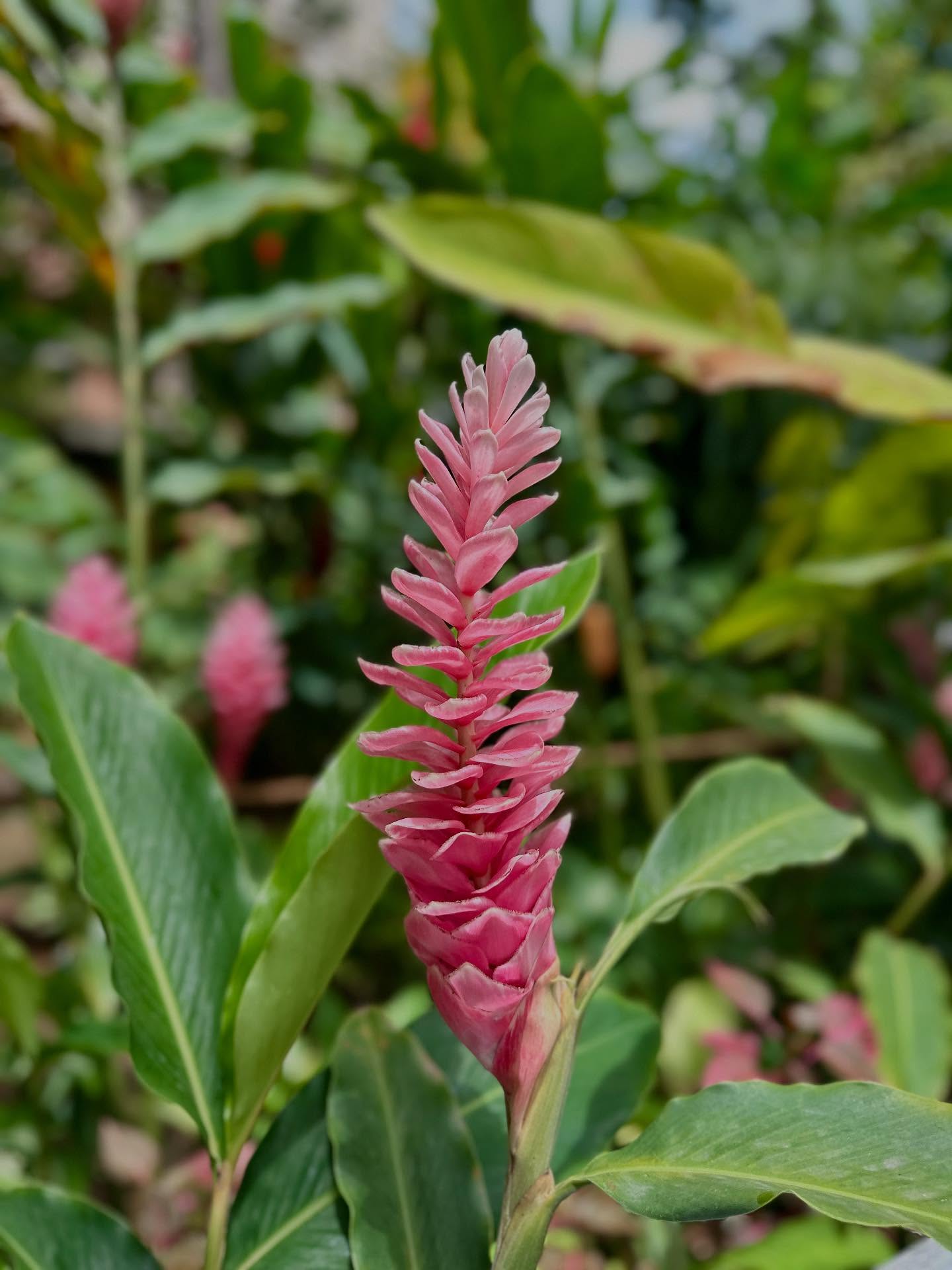 写真の説明はありません。