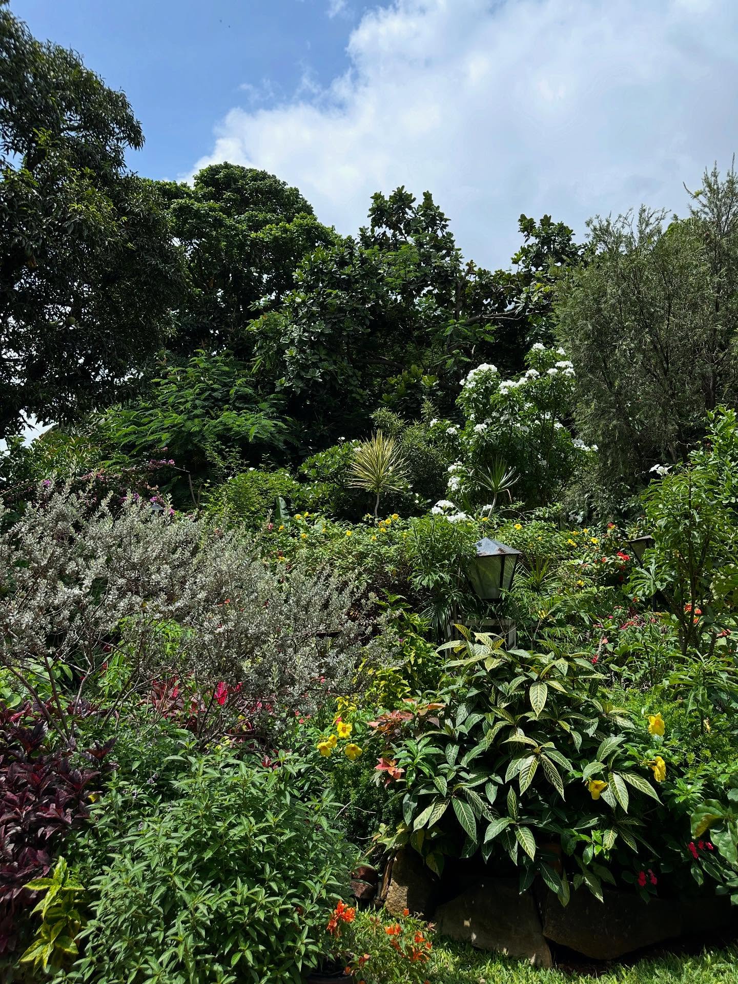 写真の説明はありません。