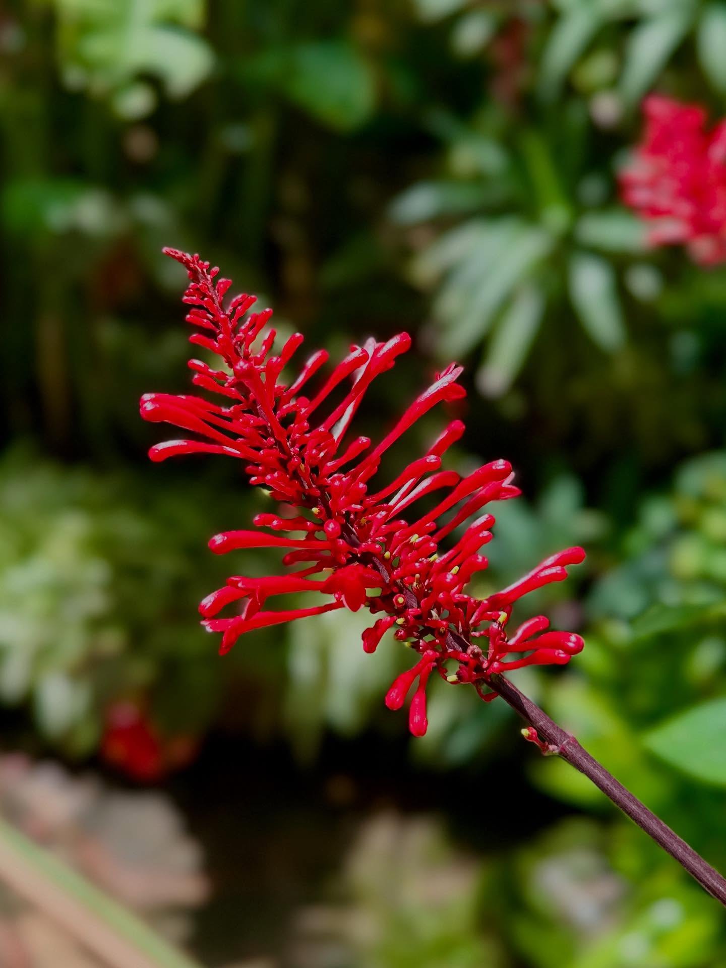 写真の説明はありません。