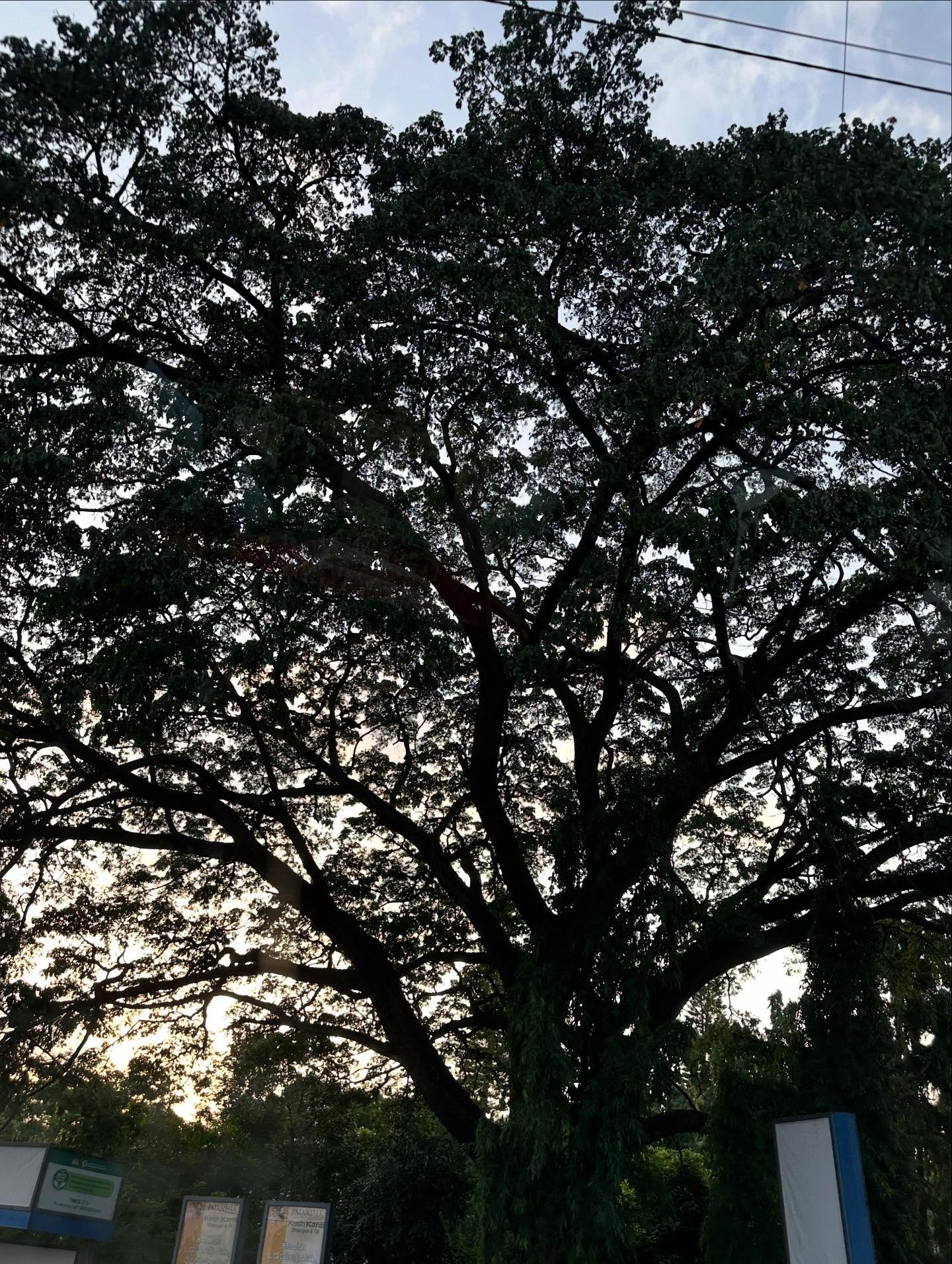 写真の説明はありません。