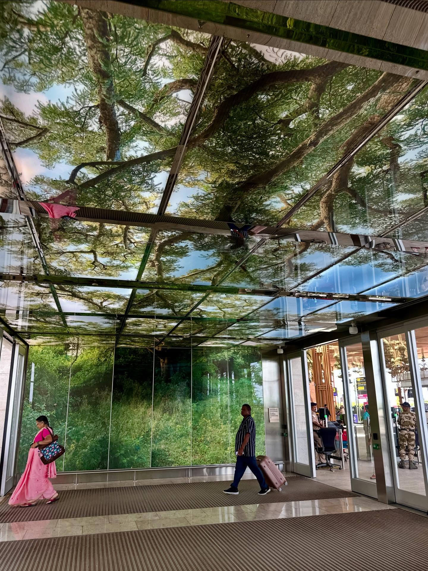 写真の説明はありません。