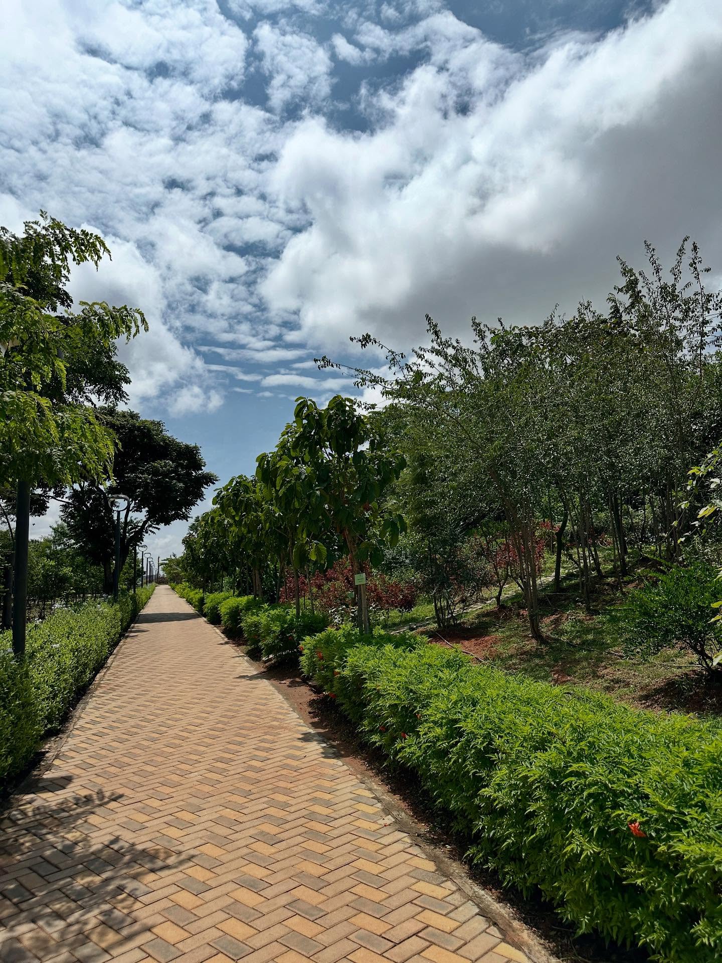 写真の説明はありません。