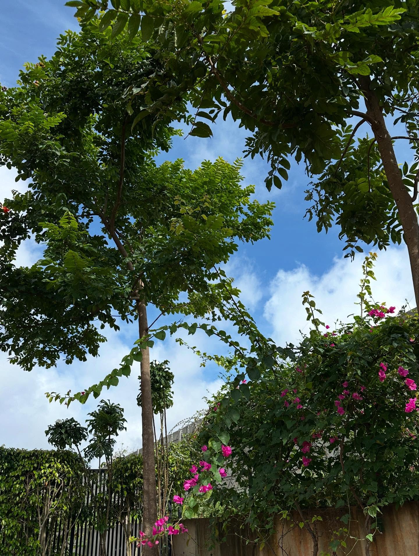 写真の説明はありません。