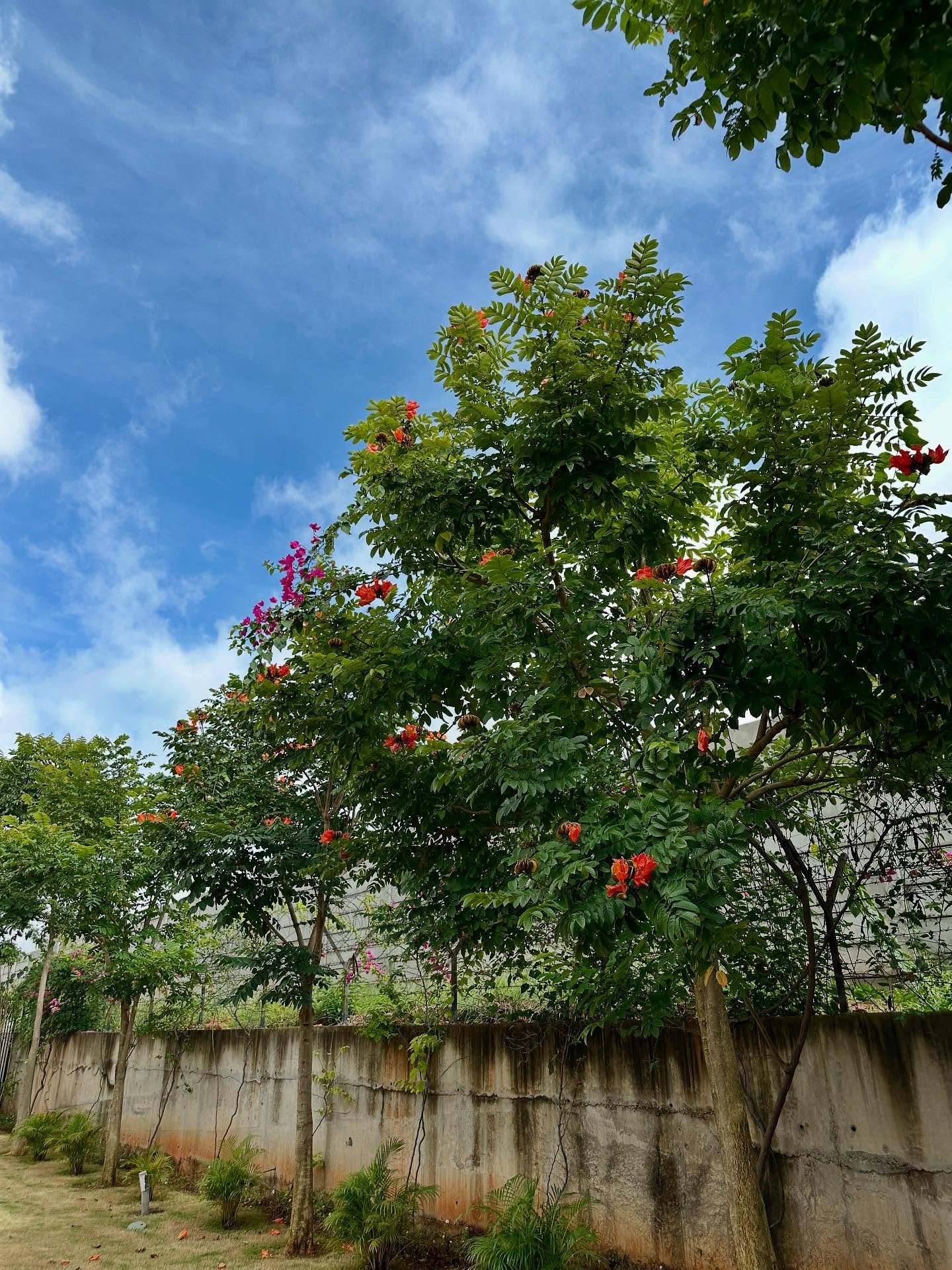 写真の説明はありません。