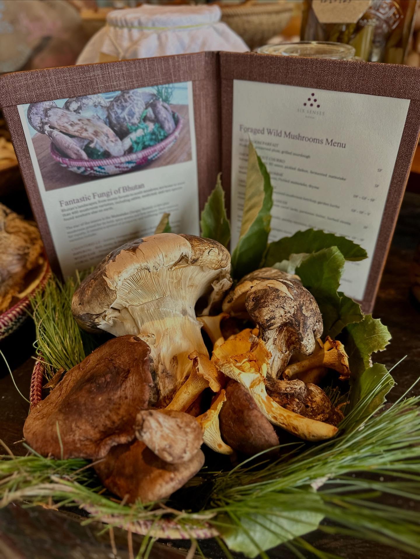 シイタケ、マッシュルーム、松ぼっくり、テキストの画像のようです