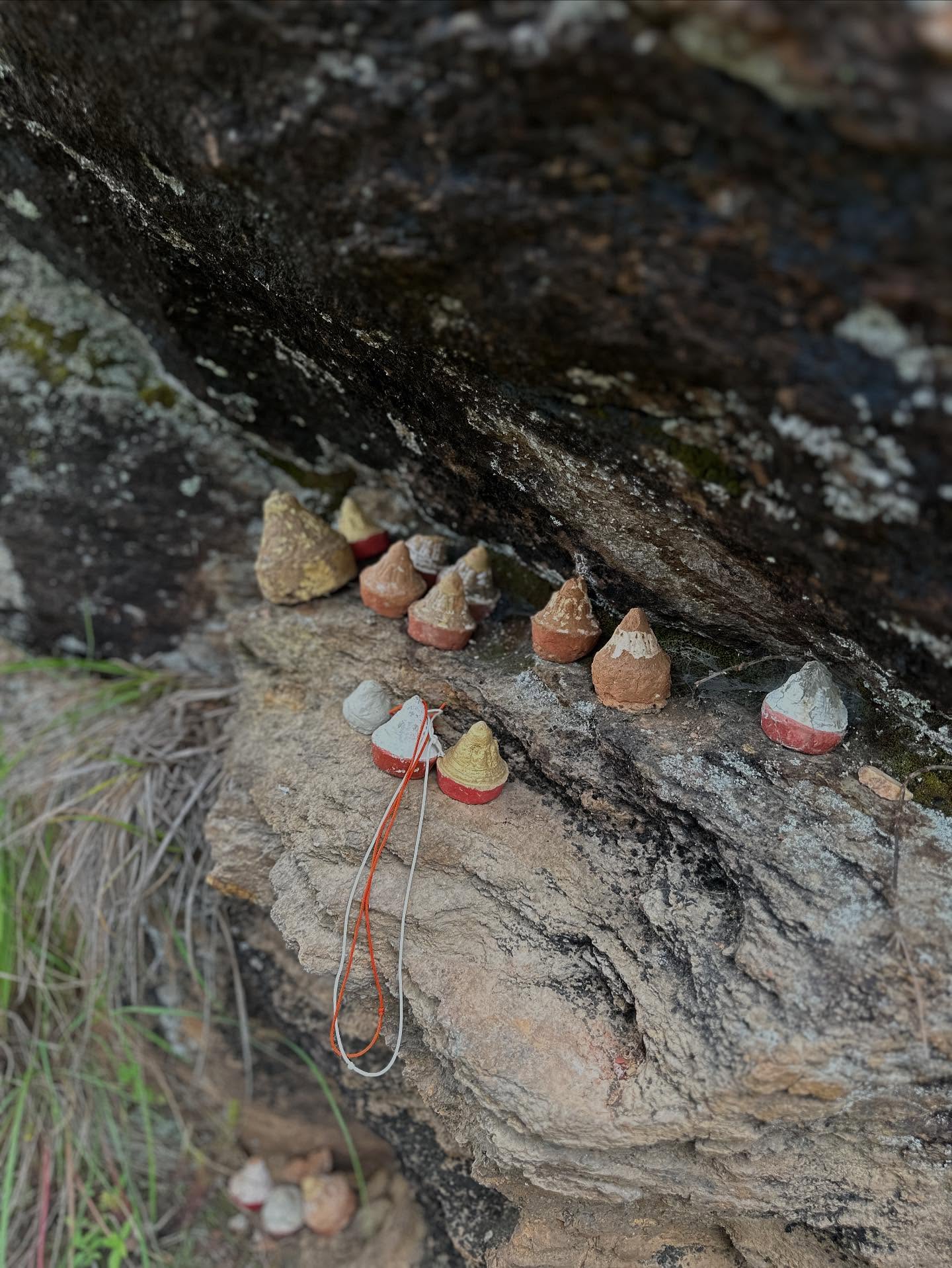 マッシュルーム、パフボールマッシュルームの画像のようです