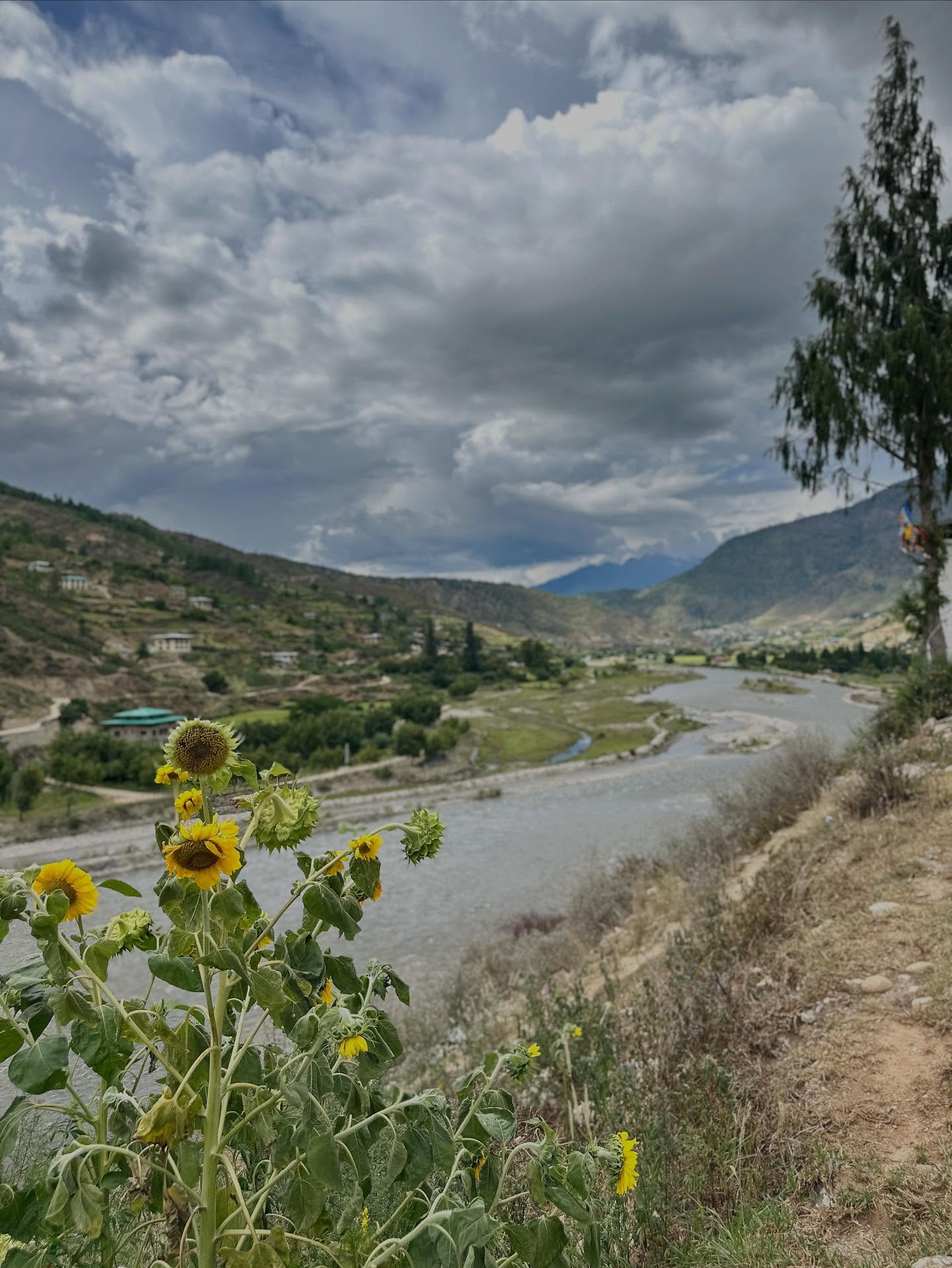 自然の画像のようです