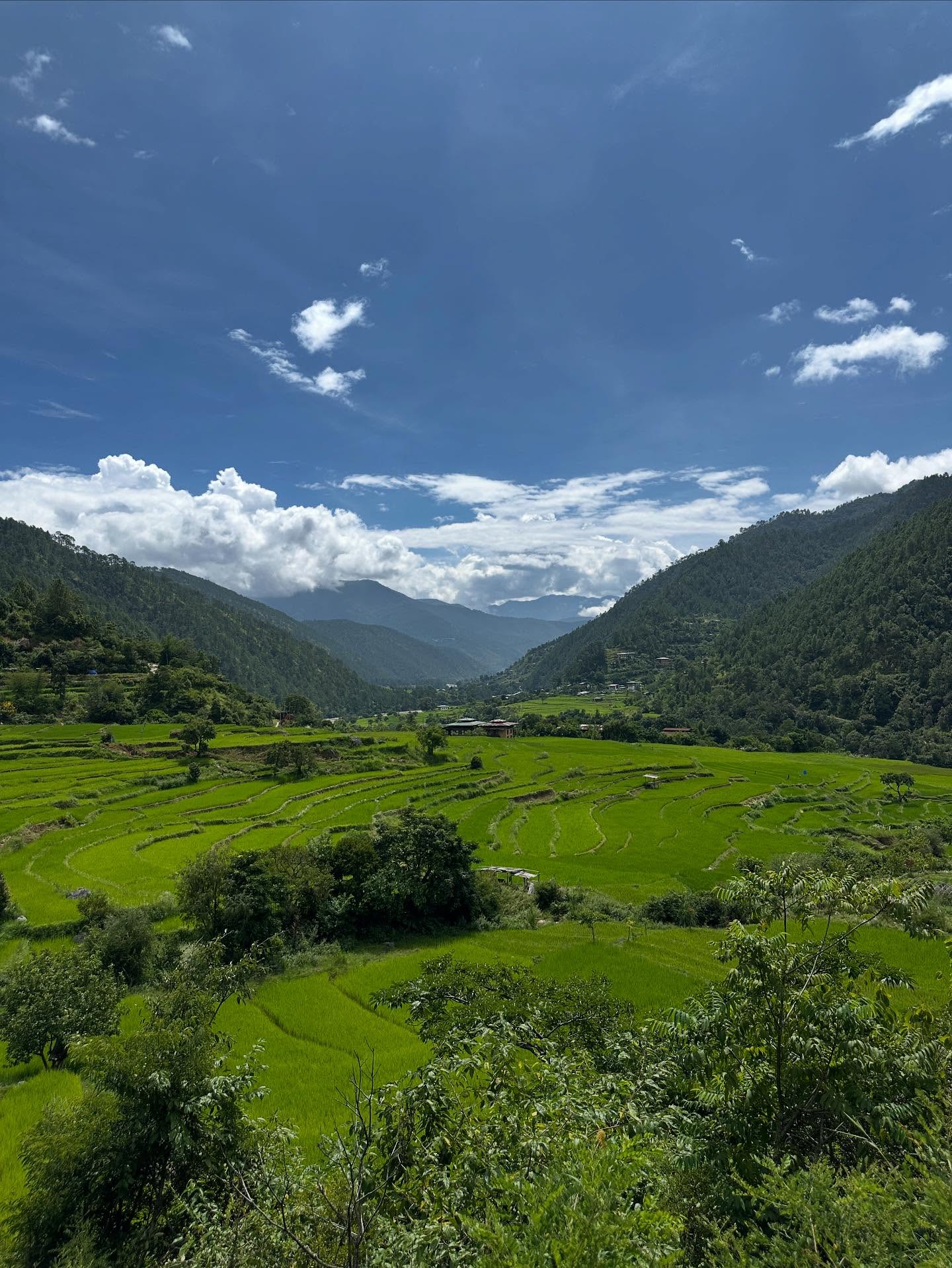 山、草、雲の画像のようです