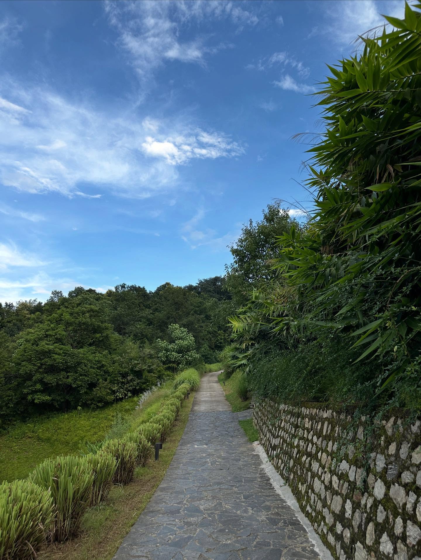 道路、雲、草の画像のようです