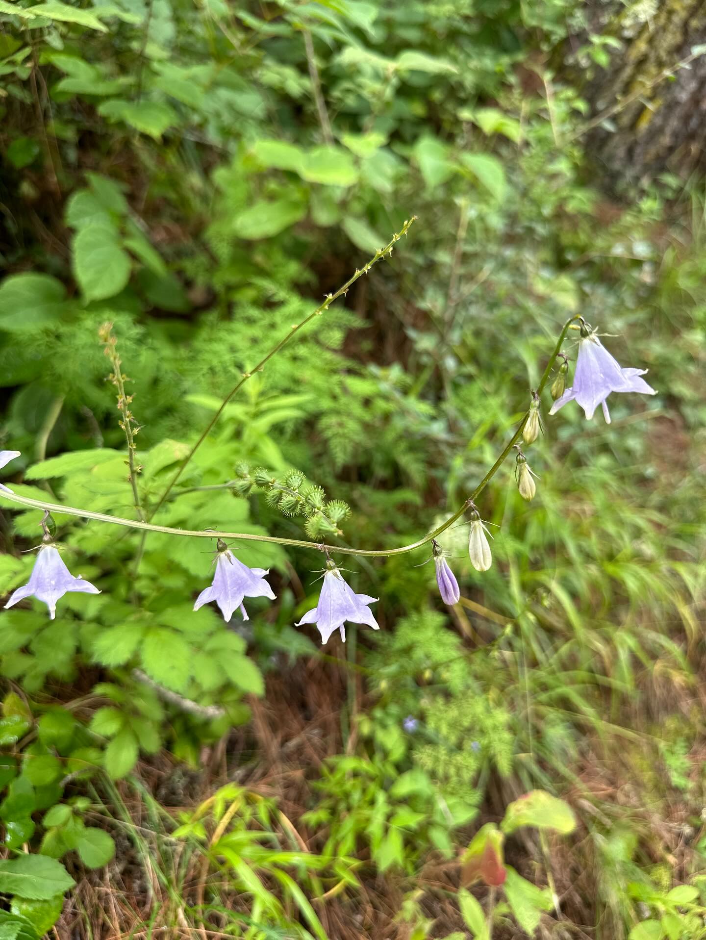 写真の説明はありません。